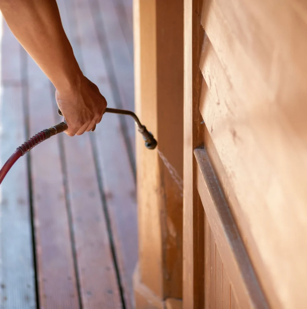 Trusted Pest Control - Pennsauken Pest Control Pros | Pennsauken, NJ | 856-517-8119